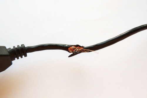 damaged electrical cord with wires poking out